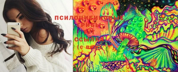 молекула духа Армянск