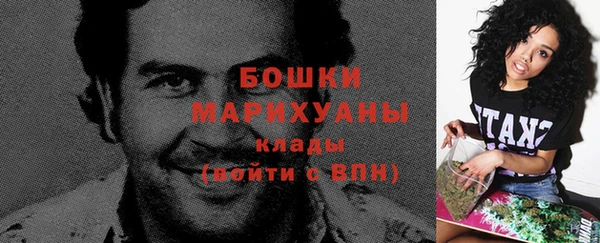 apvp Гатчина