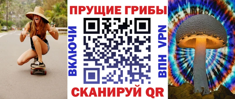 Псилоцибиновые грибы ЛСД  купить закладку  Кировск 