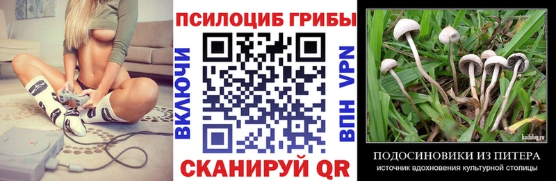 Галлюциногенные грибы прущие грибы Кировск