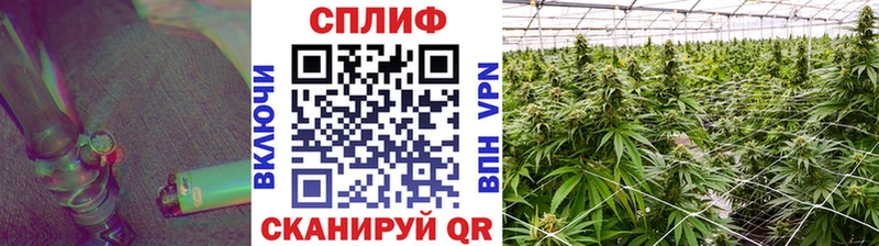 что такое наркотик  omg как войти  Конопля планчик  Кировск 